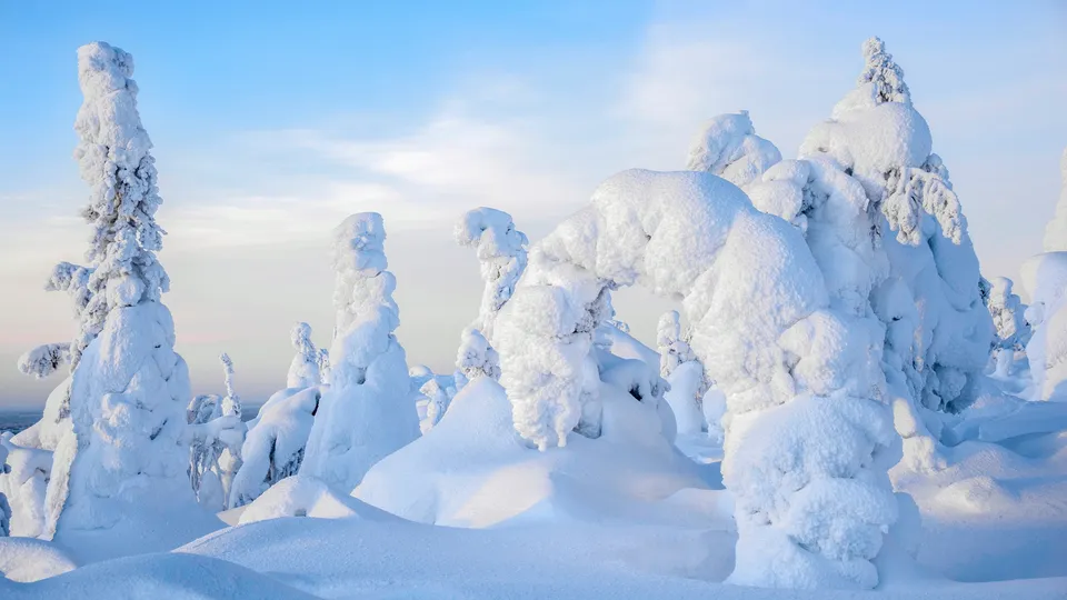 riisitunturi national park in inverno